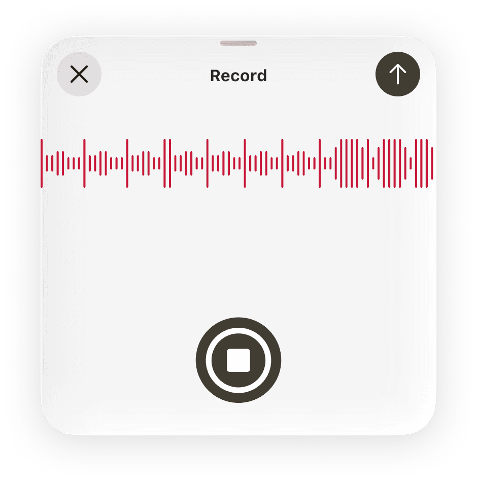 Audio and transcription